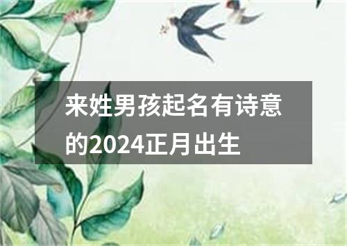 来姓男孩起名有诗意的2024正月出生