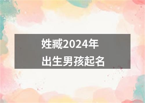 姓臧2024年出生男孩起名