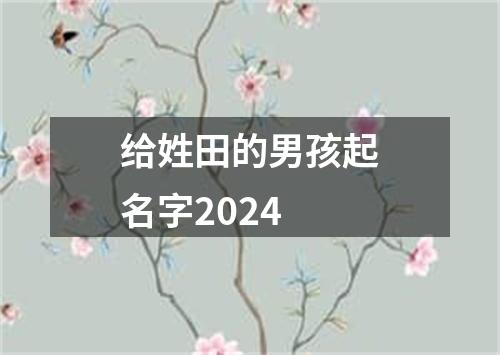 给姓田的男孩起名字2024