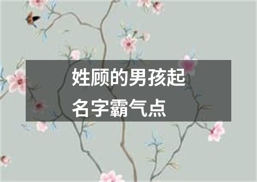 姓顾的男孩起名字霸气点