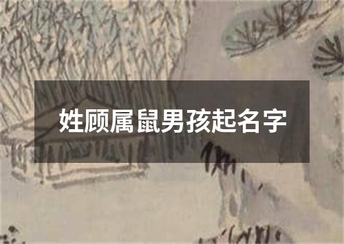 姓顾属鼠男孩起名字