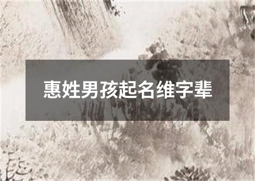 惠姓男孩起名维字辈