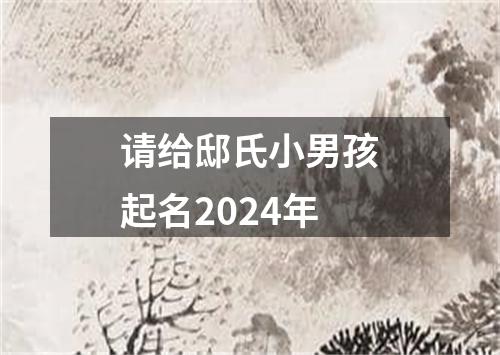 请给邸氏小男孩起名2024年