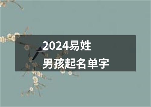 2024易姓男孩起名单字