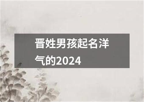 晋姓男孩起名洋气的2024