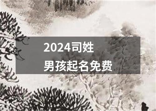 2024司姓男孩起名免费