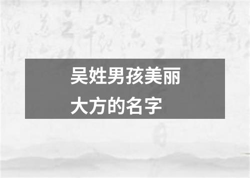 吴姓男孩美丽大方的名字