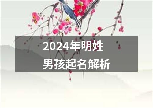 2024年明姓男孩起名解析