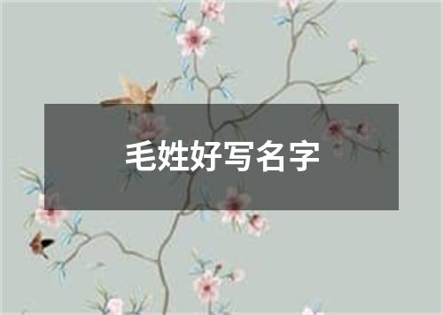 毛姓好写名字