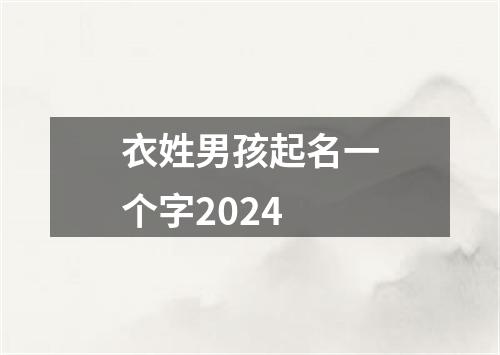 衣姓男孩起名一个字2024