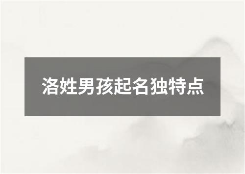 洛姓男孩起名独特点