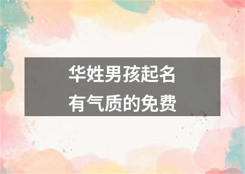 华姓男孩起名有气质的免费