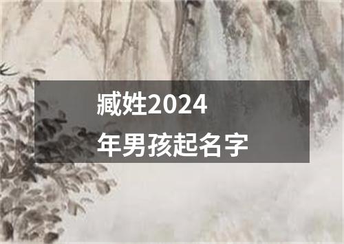 臧姓2024年男孩起名字