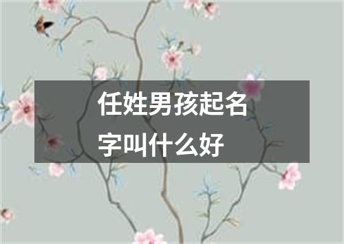 任姓男孩起名字叫什么好