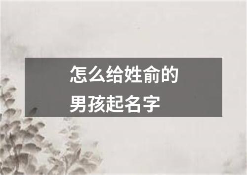 怎么给姓俞的男孩起名字