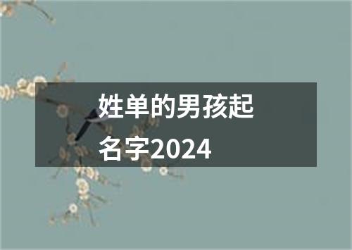 姓单的男孩起名字2024