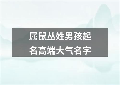 属鼠丛姓男孩起名高端大气名字