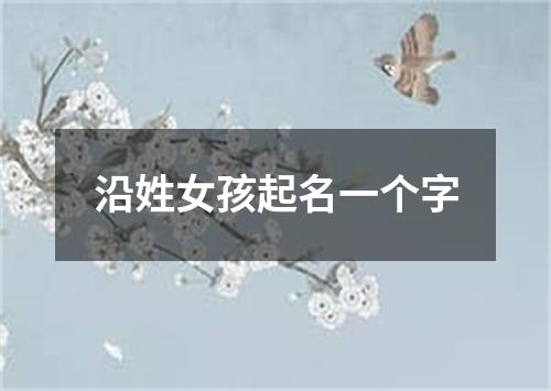 沿姓女孩起名一个字