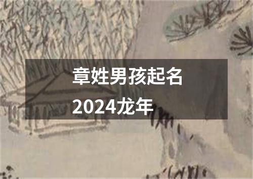 章姓男孩起名2024龙年