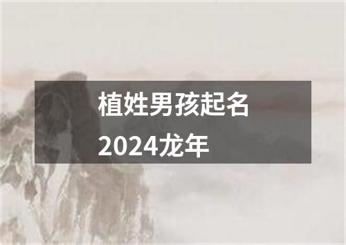 植姓男孩起名2024龙年