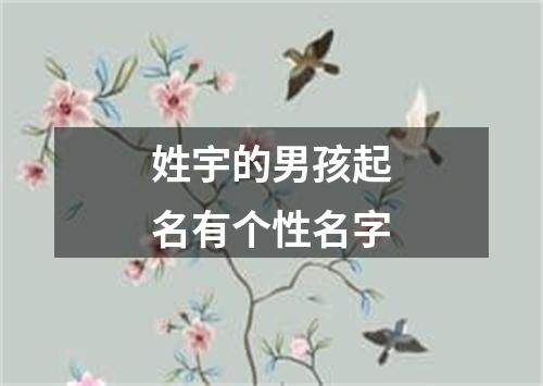 姓宇的男孩起名有个性名字