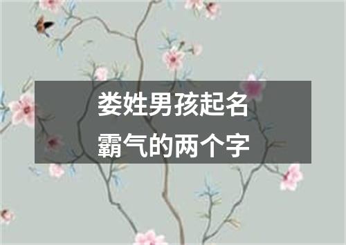 娄姓男孩起名霸气的两个字