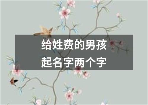 给姓费的男孩起名字两个字