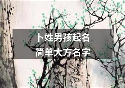 卜姓男孩起名简单大方名字