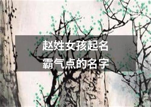 赵姓女孩起名霸气点的名字