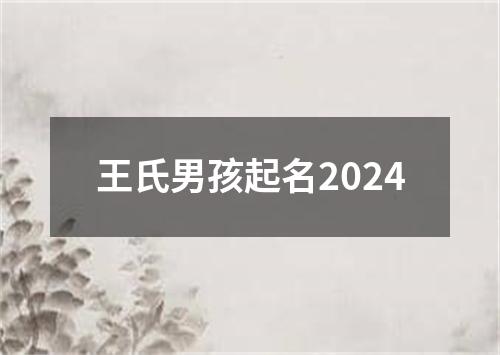 王氏男孩起名2024