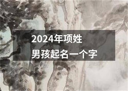 2024年项姓男孩起名一个字