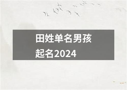 田姓单名男孩起名2024