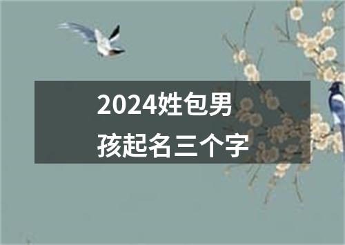 2024姓包男孩起名三个字