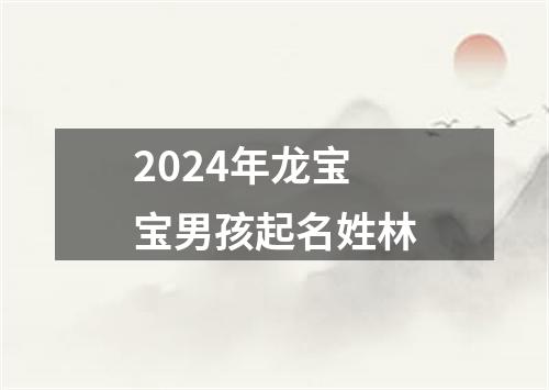 2024年龙宝宝男孩起名姓林