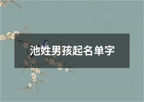 池姓男孩起名单字