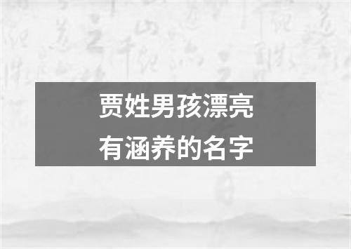 贾姓男孩漂亮有涵养的名字