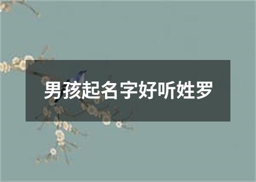 男孩起名字好听姓罗