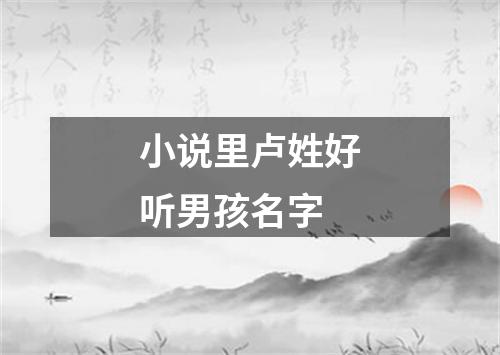 小说里卢姓好听男孩名字