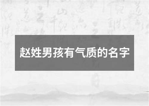 赵姓男孩有气质的名字