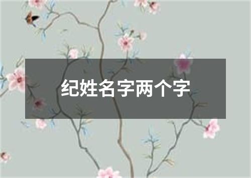 纪姓名字两个字