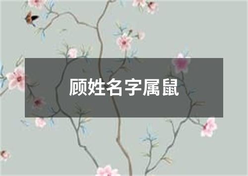 顾姓名字属鼠