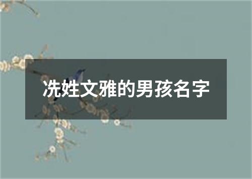 冼姓文雅的男孩名字