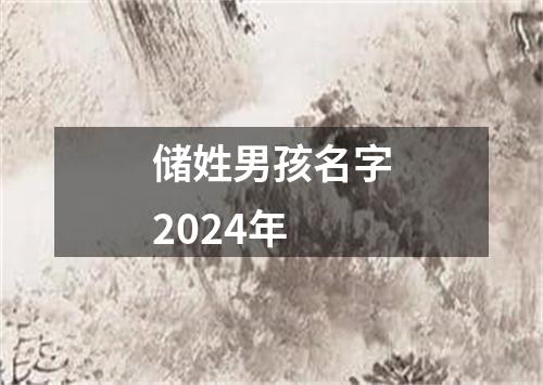 储姓男孩名字2024年