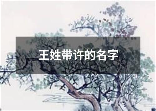 王姓带许的名字