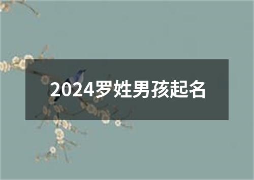 2024罗姓男孩起名