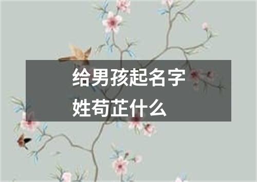 给男孩起名字姓苟芷什么