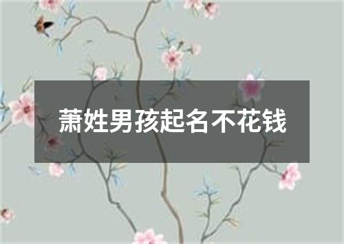 萧姓男孩起名不花钱