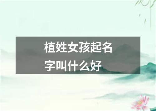 植姓女孩起名字叫什么好