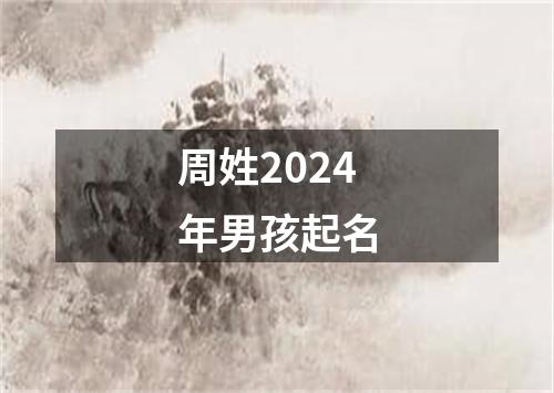 周姓2024年男孩起名