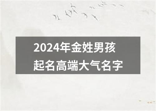 2024年金姓男孩起名高端大气名字